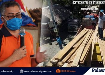 DENR donates lumber to fisherfolk and hardwood for anti-COVID-19 efforts in Mimaropa