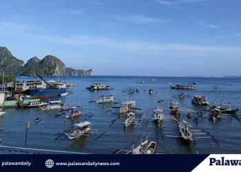 Otoridad, ipinaliwanag ang umano’y delay sa pagsundo sa dumating na LSIs