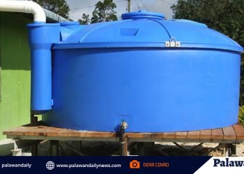 DENR told subdivisions and hotels: Install rainwater collector