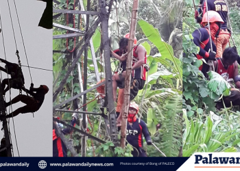 Lalaki na umakyat sa transmission tower ng NAPOCOR, na rescue ng BFP