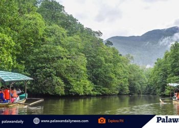 Mangroves expert mounts online lecture for coastal resources protection and conservation