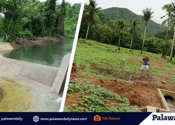 El Nido Irrigation proj to boost farmer beneficiaries crop production