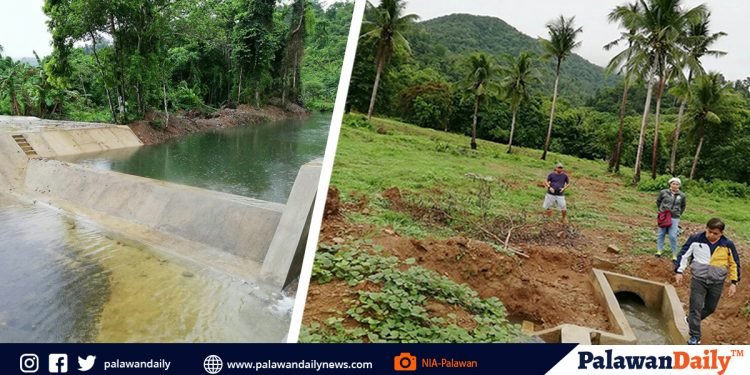 El Nido Irrigation proj to boost farmer beneficiaries crop production