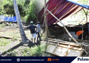 NIA-Palawan IMO installs first solar powered pump proj