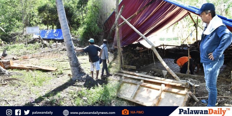NIA-Palawan IMO installs first solar powered pump proj