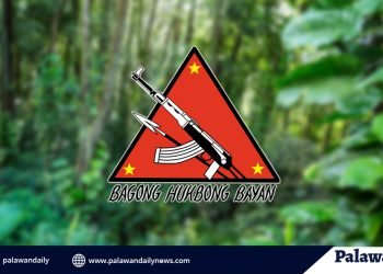 Bienvenido Vallever Command, tinawag na ‘peke’ ang 9 rebel returnees