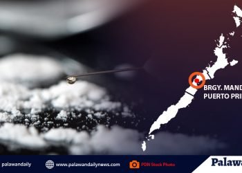 P500,000 estimated worth of shabu seized from HVT in Puerto Princesa