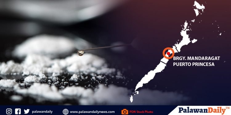 P500,000 estimated worth of shabu seized from HVT in Puerto Princesa