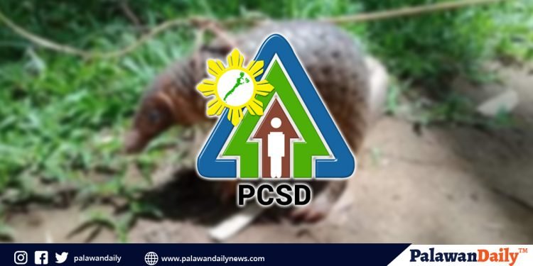 PCSD: Intensive campaign vs. wildlife trade needed, despite removal of pangolin from TCM