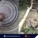2 Asian Box Turtle, isinauli ng mga taga-lungsod ng Puerto Princesa sa PCSDS
