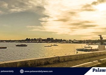 Puerto Princesa Bay free from red tide; Honda Bay positive