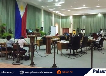 Discount sa electric bill, isinulong sa SP; Pahayag ng Paleco, hindi ito posible