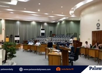 Sangguniang Panlalawigan dismayed at Paleco board no-show