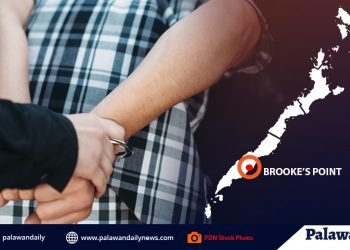 Suspek sa pananaga sa Brooke’s Point, kusang sumuko sa pulisya
