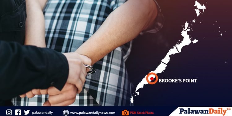Suspek sa pananaga sa Brooke’s Point, kusang sumuko sa pulisya