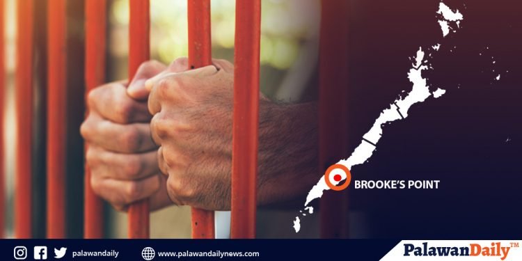 Magsasaka, timbog sa buy-bust sa Brooke’s Point