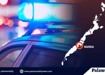 ‘Street level’ drug pusher sa Narra, timbog sa buy-bust