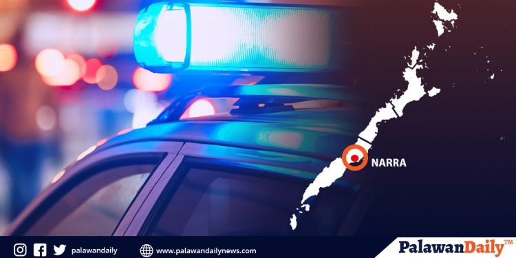 ‘Street level’ drug pusher sa Narra, timbog sa buy-bust