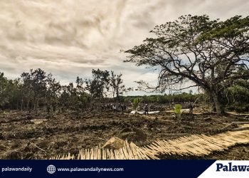 Illegal structures sa Sitio Bucana, kabilang ang bakod ni Balonglong, sinira ng EIATF