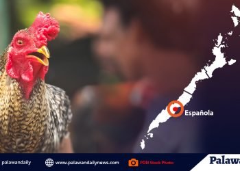 18 katao huli sa ilegal na tupada sa Española