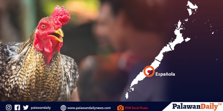 18 katao huli sa ilegal na tupada sa Española