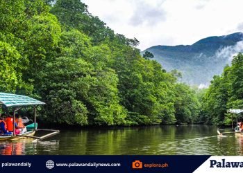 Mangroves expert mounts online lecture for coastal resources protection and conservation