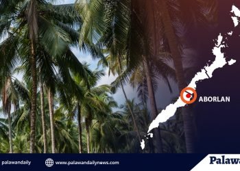 Isang bangkay, natagpuan sa taniman ng niyog sa Aborlan