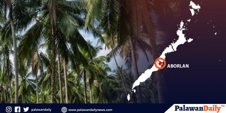 Isang bangkay, natagpuan sa taniman ng niyog sa Aborlan