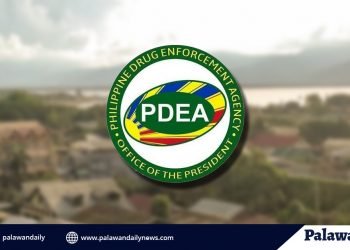 PDEA: Government official in Palawan involved in illegal drugs