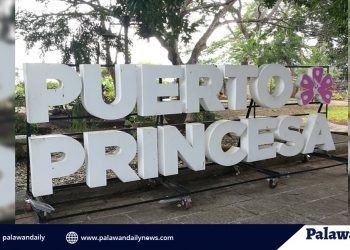 Rumors of lockdown in Puerto Princesa untrue