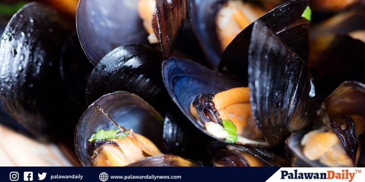 Honda Bay and Puerto Princesa Bay under local red tide warning