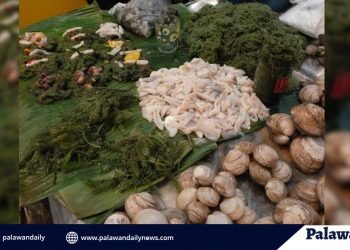 Dr. Primavera: Mangroves are important in food security