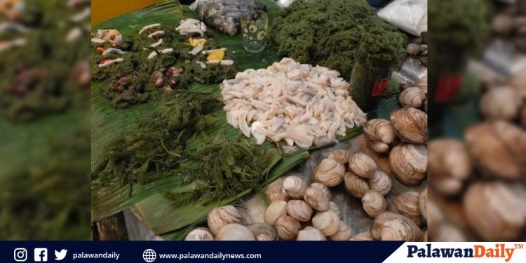 Dr. Primavera: Mangroves are important in food security