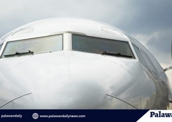 City Council wants Puerto Princesa commercial flights to resume after June 30