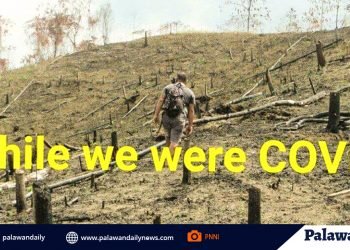 PNNI, kinalampag ang mga kinauukulan na aksyunan ang nakalbong kagubatan ng Mt. Victoria