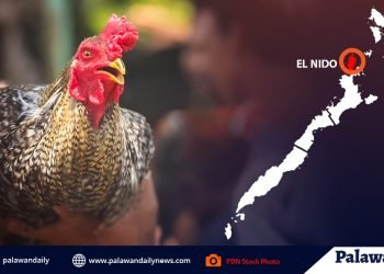 1 nadakip, tinatayang 20 pa nakatakas sa anti-illegal gambling operation ng PNP sa El Nido