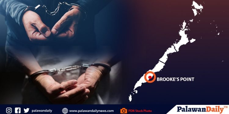 2 katao, arestado sa Brooke’s Point dahil sa ilegal na droga