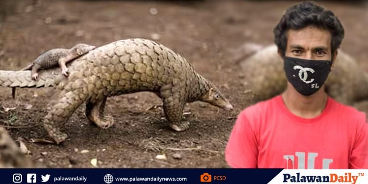 Mag-inang balintong, isinauli ng isang residente ng Puerto Princesa City sa PCSDS