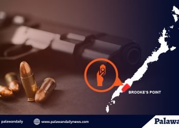 Lalaki, arestado dahil sa pagbebenta ng walang lisensiyang baril sa Brooke’s Point