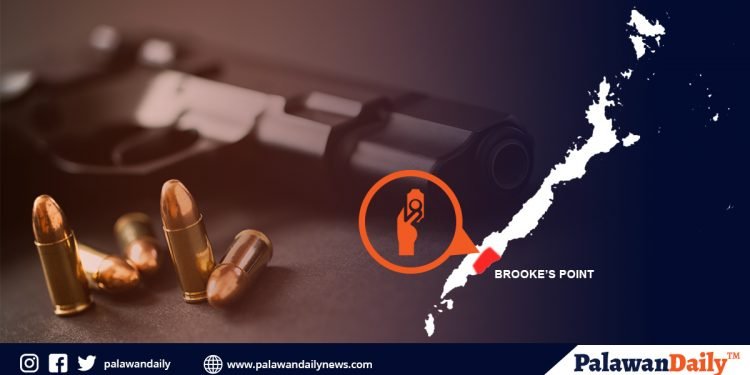 Lalaki, arestado dahil sa pagbebenta ng walang lisensiyang baril sa Brooke’s Point