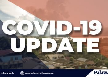 Palawan at Puerto Princesa, mayroon 46 COVID-19 cases na