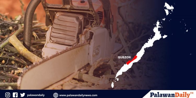 Lumabag sa Chainsaw Act, arestado sa Bayan ng Quezon