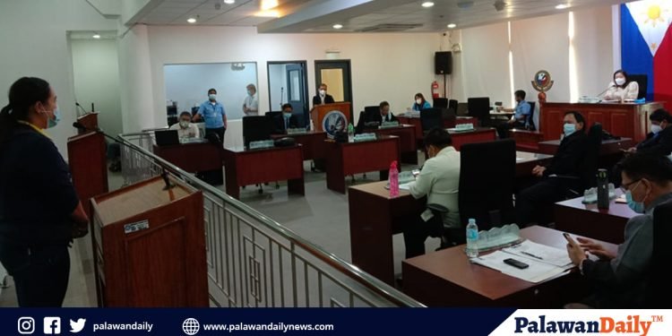 Airlines companies, ipinatawag ng City Council