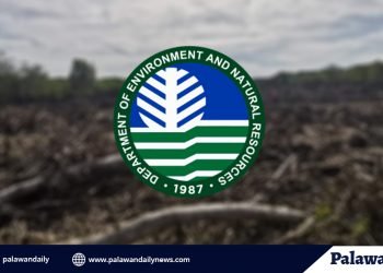 DENR files complaints vs relieved Puerto Princesa City police chief