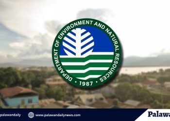 DENR-MIMAROPA, nananawagan sa mga mamumuhunan na alamin muna ang status ng lupa na gustong bilhin sa Palawan