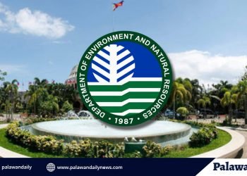 DENR, Palawan capitol facilitate donation of confiscated lumber for school fixtures