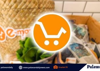 Wet market now a click away via E-Market Palawan