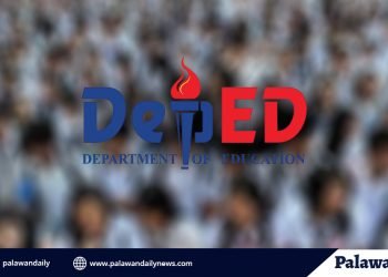 Bilang ng enrollees sa Puerto Princesa, bumaba batay sa inisyal na datos