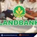 Landbank offers direct loan for students