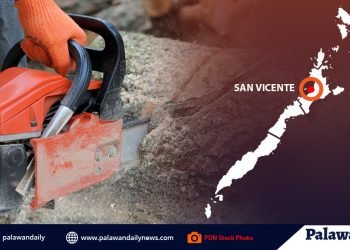 Lumabag sa Chain Saw Act sa San Vicente, nakatakas sa pag-aresto